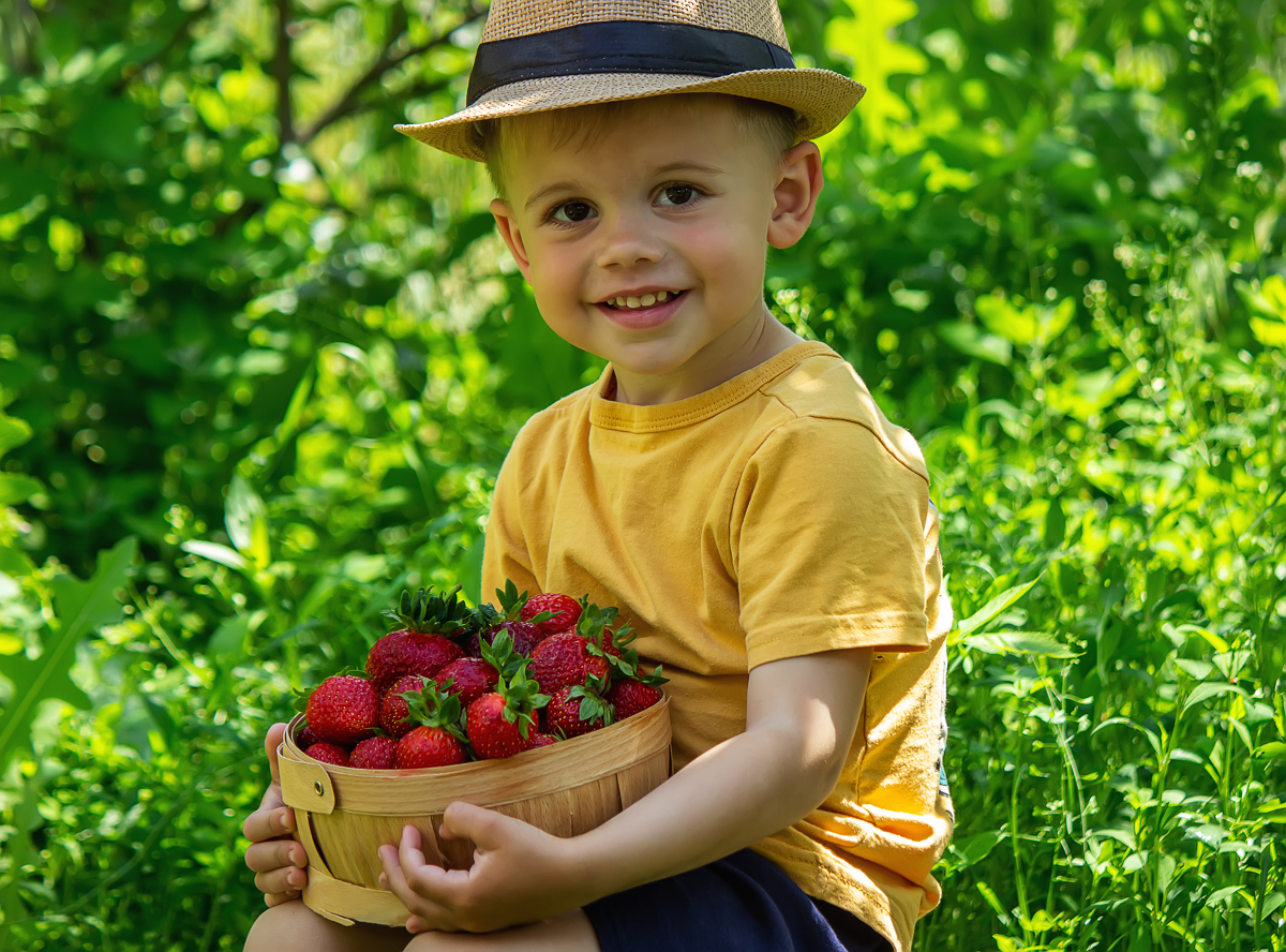 Ernte Erdbeeren Tag - Purer Genuss für Kinder & Erwachsene
