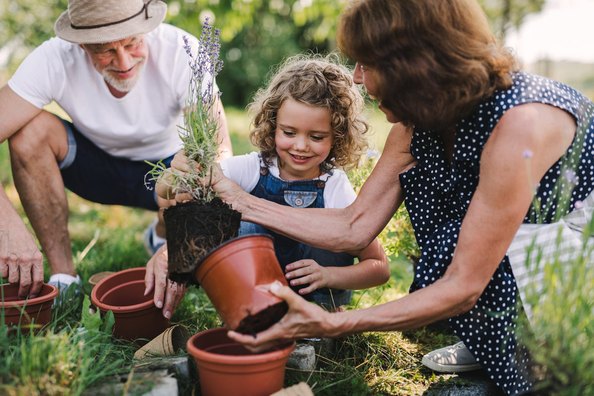 Gemeinsames Arbeiten im Garten - Großeltern mit Enkel