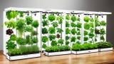 Growbox Komplettset – Vorteile, Modelle, Angebote, Marken