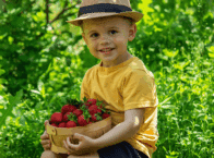 Ernte-Erdbeeren-Tag – 20.Mai