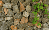 Gabionenshop24 – Gartengestaltung mit Gabionen