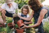 Gartenarbeiten im Mai – Hochbeet & Pflanzen