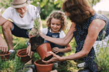Gartenarbeiten im Mai – Hochbeet & Pflanzen