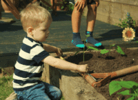 Hochbeet anlegen – Tipps & Ideen