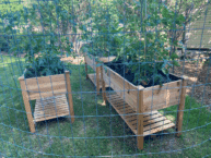 Hochbeet aus Holz selber bauen – Vorteile