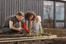 Hochbeet aus Paletten selber bauen – Vorteile