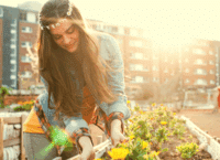 Welche Hochbeeterde kaufen? – Ratgeber & Tipps
