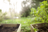 Hochbeet Ideen für den Garten – Tipps