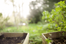 Hochbeet Ideen für den Garten – Tipps