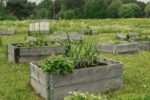 Hochbeet – Was mache ich wann? – Anleitung