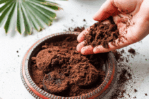 Beste Ideen für Kaffeesatz für deinen Garten – Inspiration