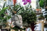 So verwandeln Sie Pflanzgefäße in einzigartige Deko-Elemente